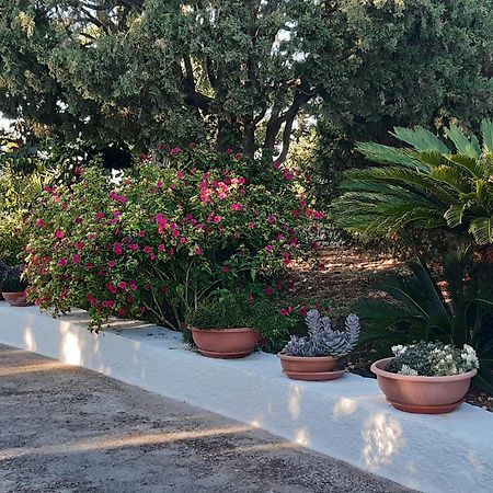 B&B Bell'Aria Monopoli Buitenkant foto