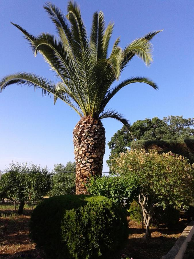 B&B Bell'Aria Monopoli Buitenkant foto