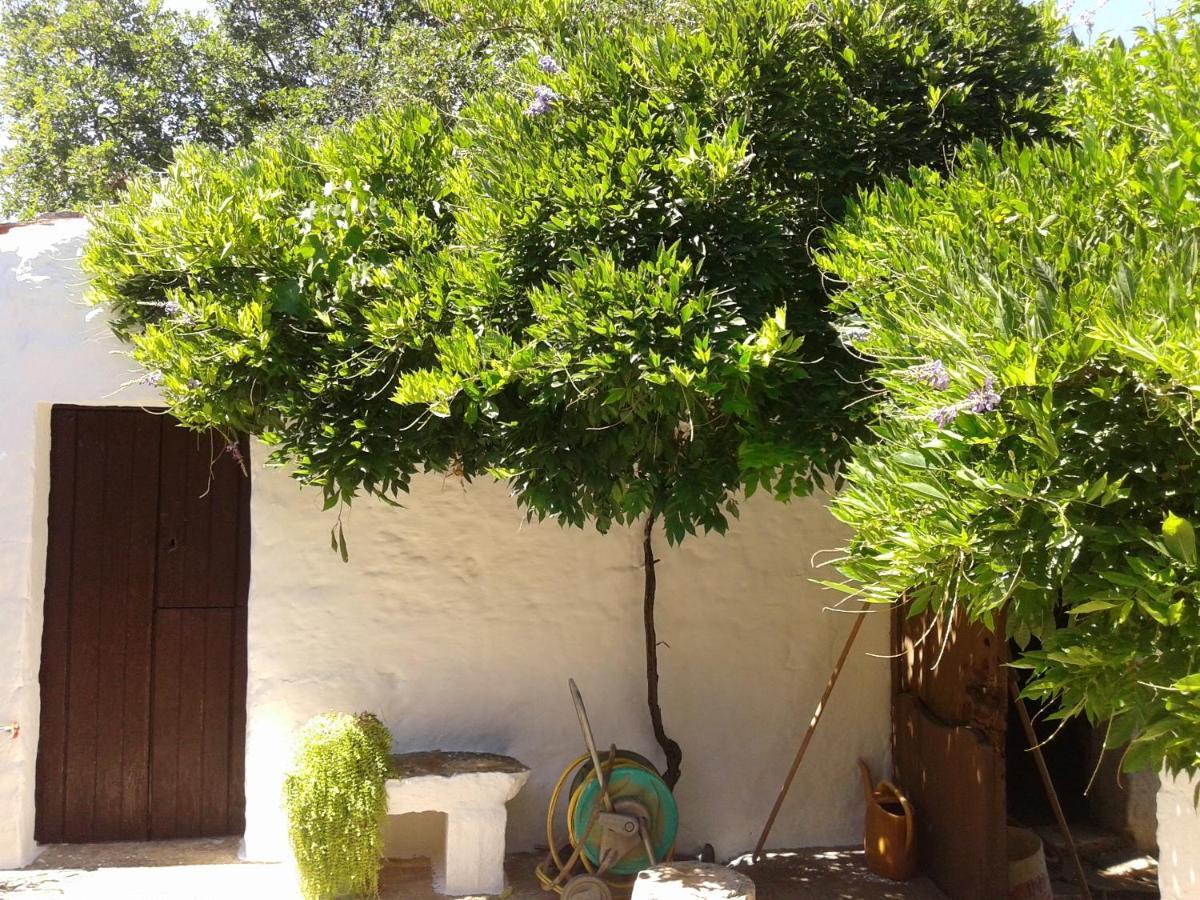 B&B Bell'Aria Monopoli Buitenkant foto