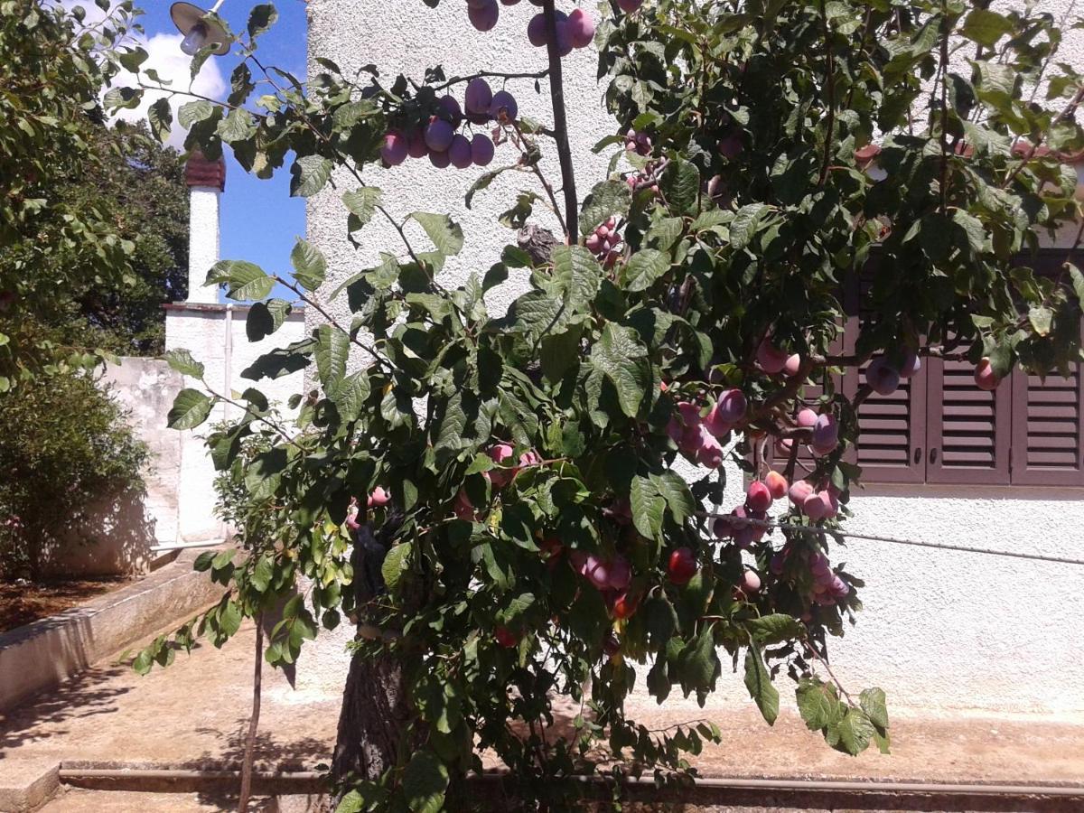 B&B Bell'Aria Monopoli Buitenkant foto