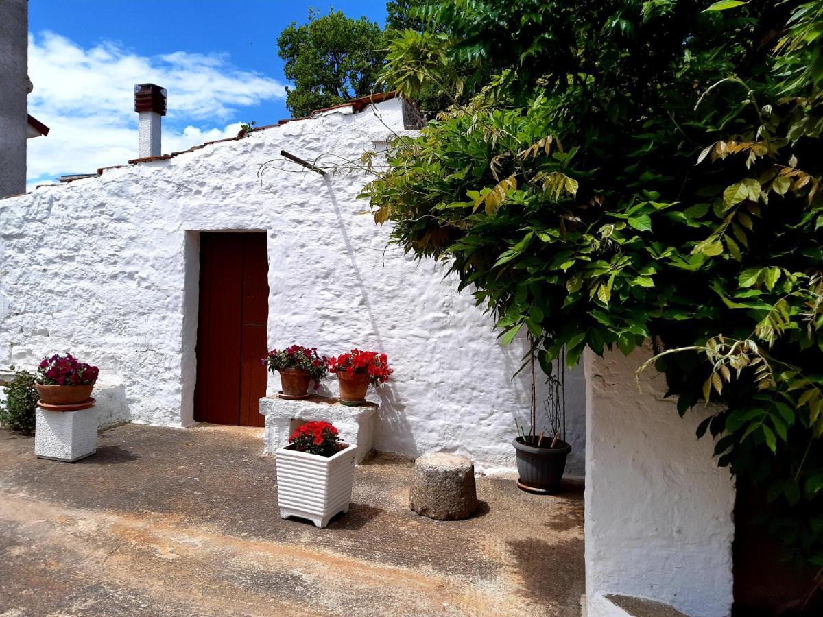 B&B Bell'Aria Monopoli Buitenkant foto