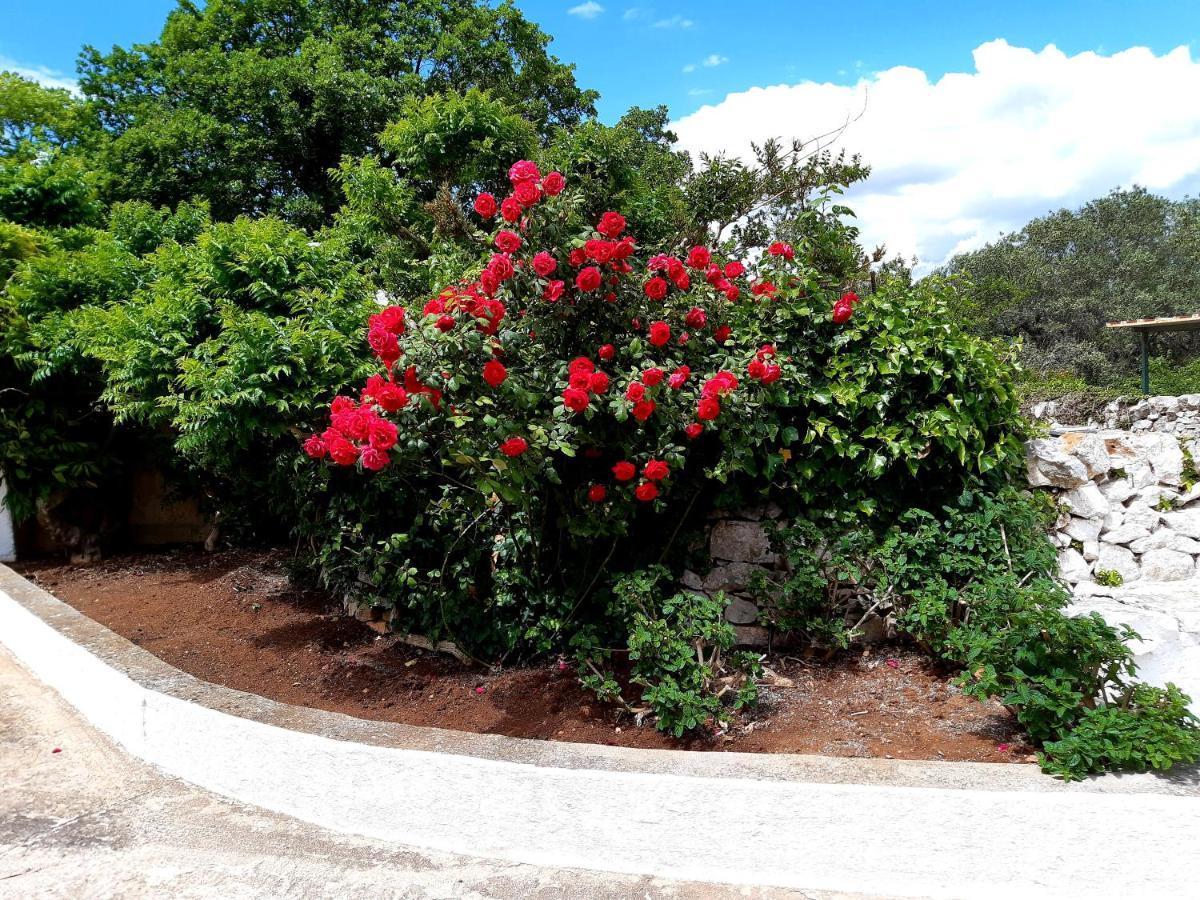 B&B Bell'Aria Monopoli Buitenkant foto