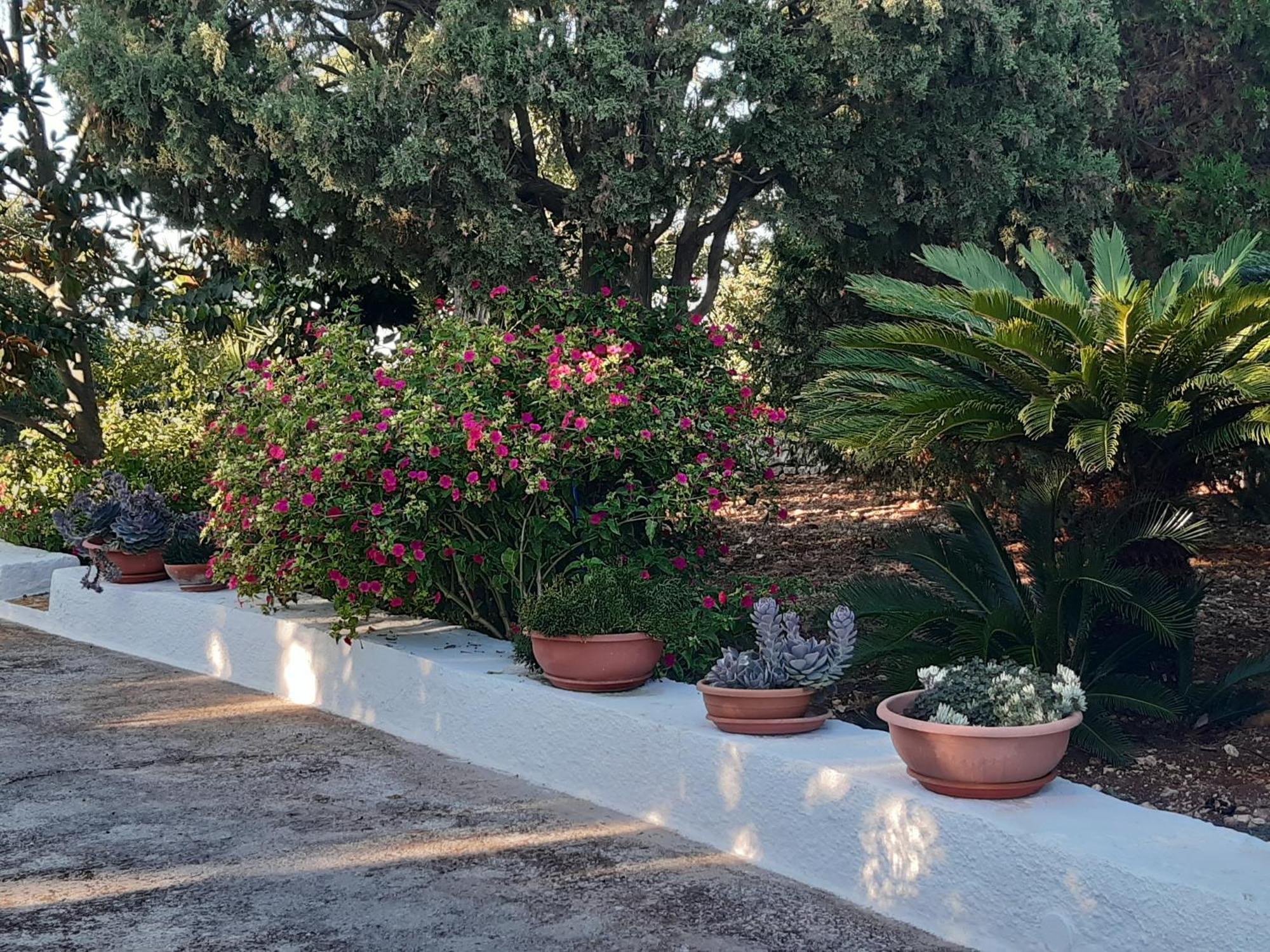 B&B Bell'Aria Monopoli Buitenkant foto