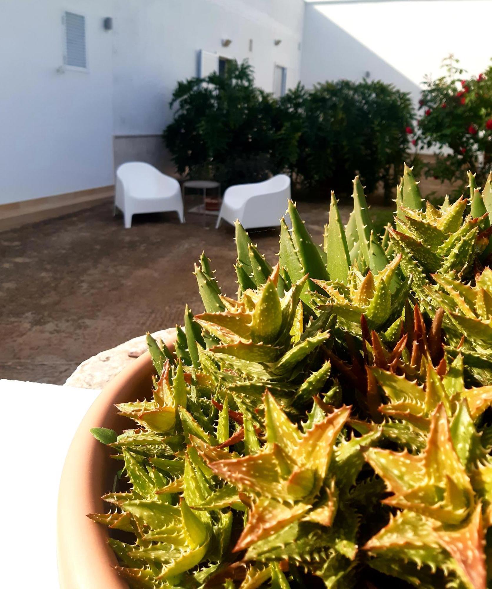 B&B Bell'Aria Monopoli Buitenkant foto